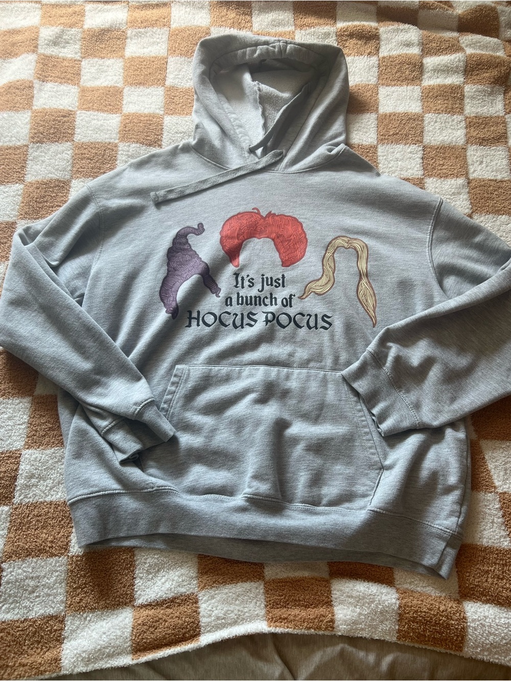 Gray 'It's Just a Bunch of Hocus Pocus' Hoodie with Witch Hair Graphic